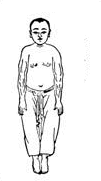 8brocart_numéro8_seleversurlespieds