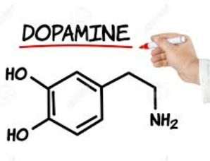 L'hormone du bonheur