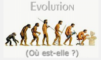 L'évolution 