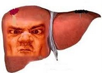 foie_colère