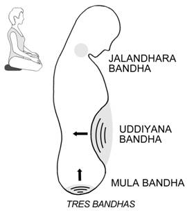 mula_bandha