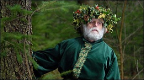 perenoelvert
