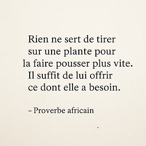 Proverbe africaine