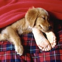 sommeil_pieds