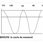 sommeildadulte