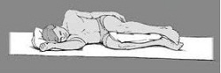 sommeiloreillerentrelesgenoux