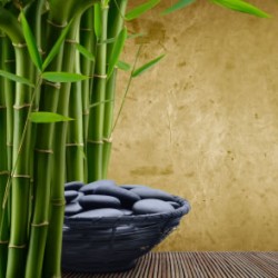 bamboo_image