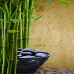 bamboo_image