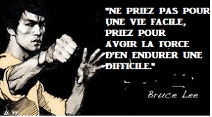 brucelee brucelee