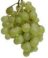raisins verts