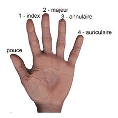 main_libellé