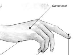 Tapoter Gamut