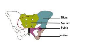 L’OUVERTURE DU BASSIN